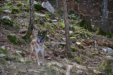 DSC_4264.jpg