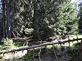 IMG-20180512-WA0019.jpg