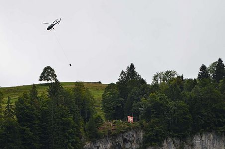 DSC_4202.jpg