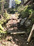 IMG-20200518-WA0004.jpg
